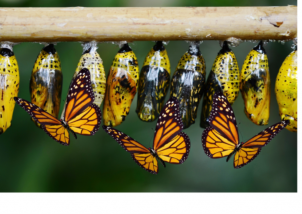 kemajuan atau sekedar perubahan